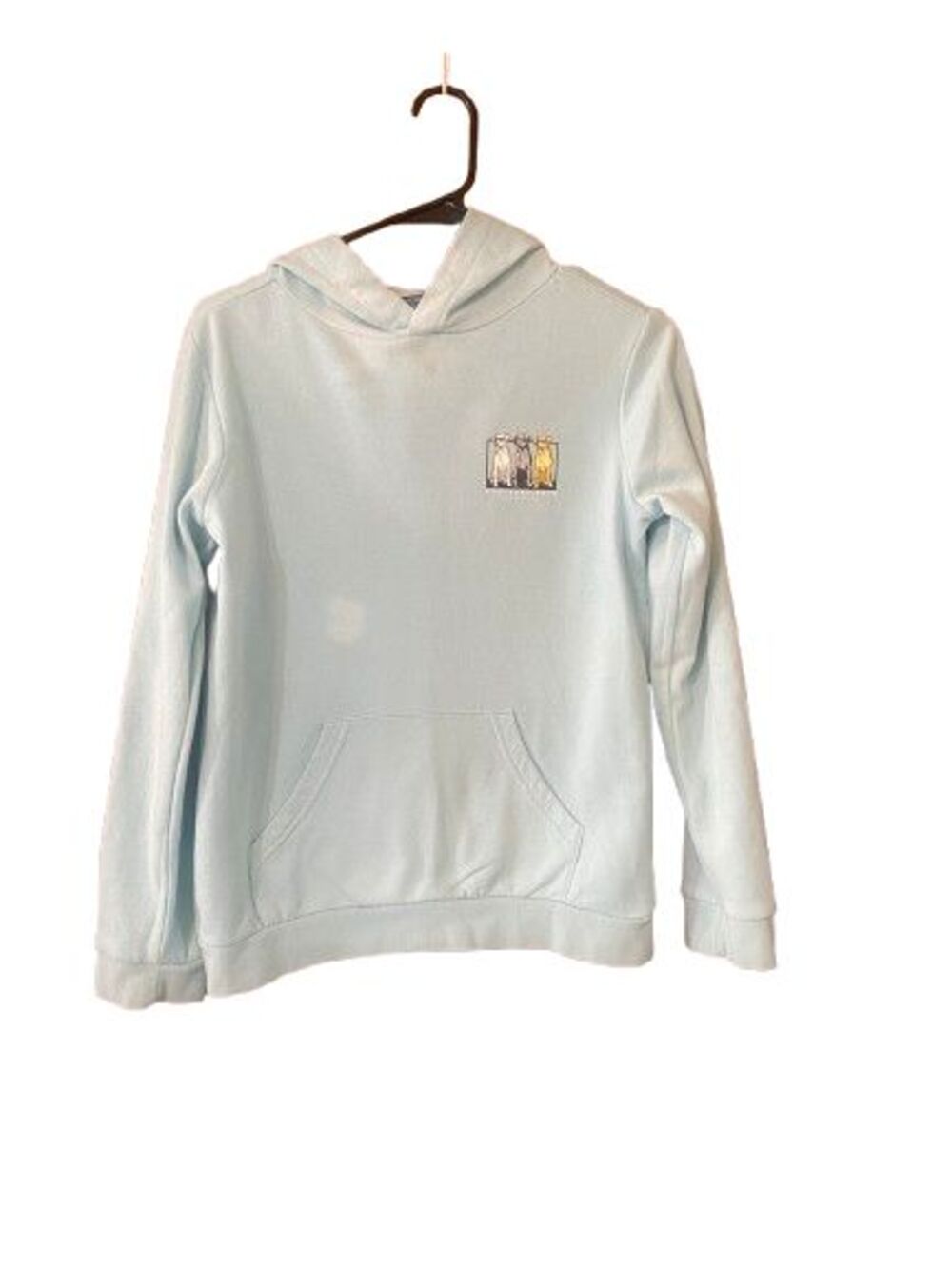 Crown & Ivy Southern Boys Hoodie Youth Size M Pockets Logo Back Graphic